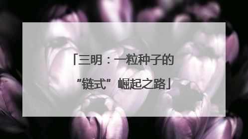 三明：一粒种子的“链式”崛起之路