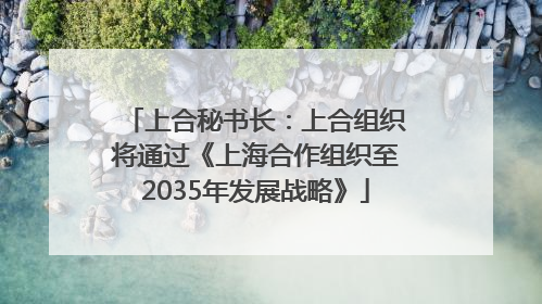 上合秘书长：上合组织将通过《上海合作组织至2035年发展战略》