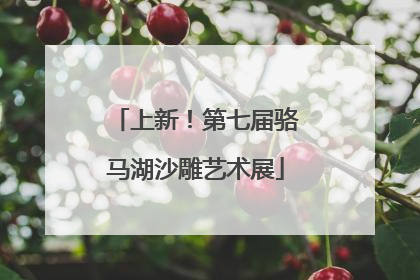 上新！第七届骆马湖沙雕艺术展