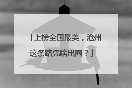 上榜全国最美，沧州这条路凭啥出圈？
