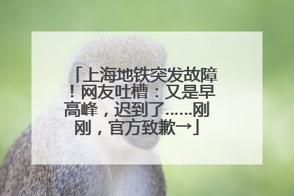 上海地铁突发故障！网友吐槽：又是早高峰，迟到了……刚刚，官方致歉→