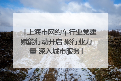 上海市网约车行业党建赋能行动开启 聚行业力量 深入城市服务