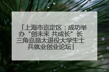 上海市嘉定区：成功举办“创未来 共成长”长三角嘉昆太退役大学生士兵就业创业论坛