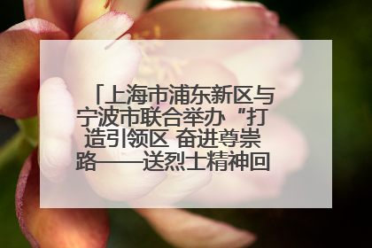上海市浦东新区与宁波市联合举办“打造引领区 奋进尊崇路——送烈士精神回家乡”主题活动