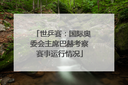 世乒赛：国际奥委会主席巴赫考察赛事运行情况