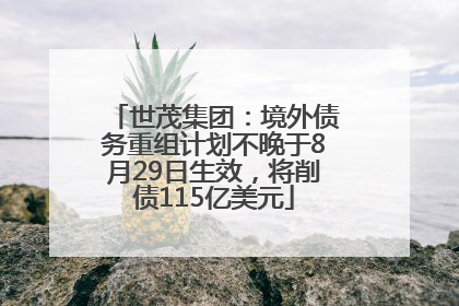 世茂集团：境外债务重组计划不晚于8月29日生效，将削债115亿美元