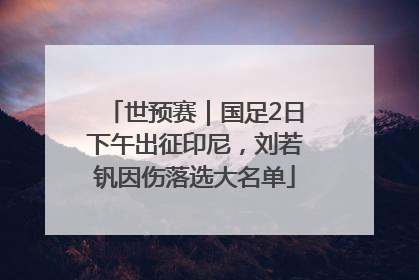 世预赛｜国足2日下午出征印尼，刘若钒因伤落选大名单