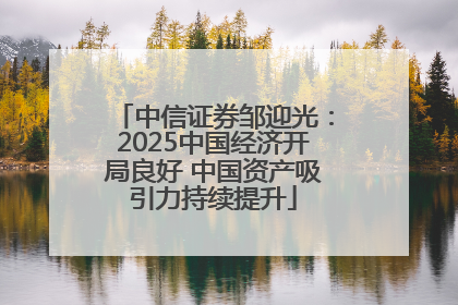 中信证券邹迎光：2025中国经济开局良好 中国资产吸引力持续提升