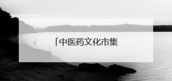 中医药文化市集开进大学校园