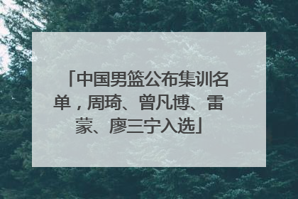 中国男篮公布集训名单，周琦、曾凡博、雷蒙、廖三宁入选