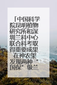 中国科学院昆明植物研究所和深圳兰科中心联合科考取得重要成果 在神农架发现两种“国保”级兰花