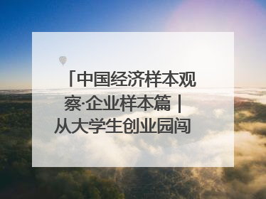 中国经济样本观察·企业样本篇｜从大学生创业园闯出来的“小巨人”——卡诺普机器人的逐梦历程