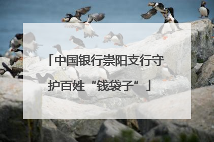 中国银行崇阳支行守护百姓“钱袋子”