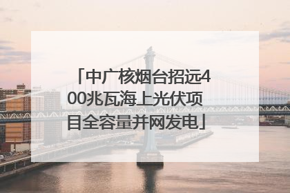 中广核烟台招远400兆瓦海上光伏项目全容量并网发电