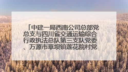中建一局西南公司总部党总支与四川省交通运输综合行政执法总队第三支队党委、万源市草坝镇莲花院村党支部开展党建联建