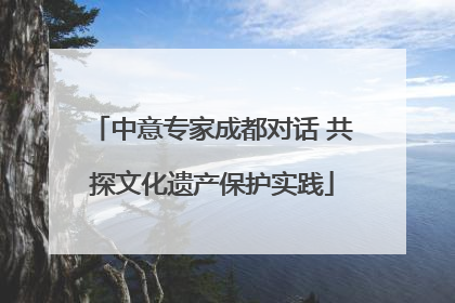 中意专家成都对话 共探文化遗产保护实践
