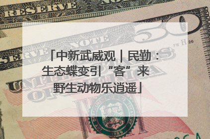 中新武威观｜民勤：生态蝶变引“客”来 野生动物乐逍遥
