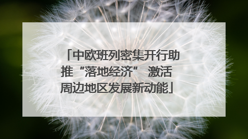 中欧班列密集开行助推“落地经济” 激活周边地区发展新动能
