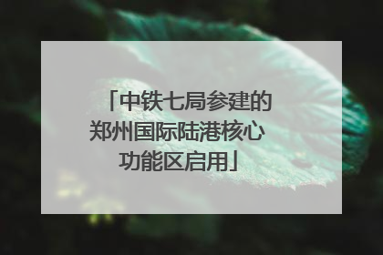 中铁七局参建的郑州国际陆港核心功能区启用