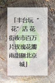 丰台玩“花”活 花街夜市百万片玫瑰花瓣雨甜翻北京城