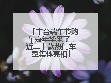 丰台端午节购车嘉年华来了，近二十款热门车型集体亮相