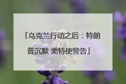 乌克兰行动之后：特朗普沉默 美特使警告