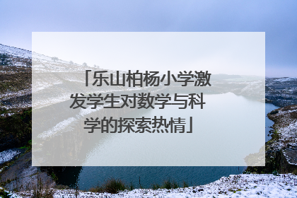 乐山柏杨小学激发学生对数学与科学的探索热情