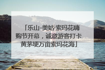 乐山-美姑·索玛花嗨购节开幕，诚邀游客打卡黄茅埂万亩索玛花海