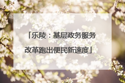 乐陵：基层政务服务改革跑出便民新速度