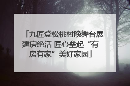 九匠登松桃村晚舞台展建房绝活 匠心垒起“有房有家”美好家园