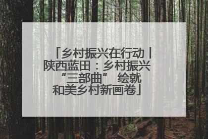乡村振兴在行动丨陕西蓝田：乡村振兴 “三部曲” 绘就和美乡村新画卷