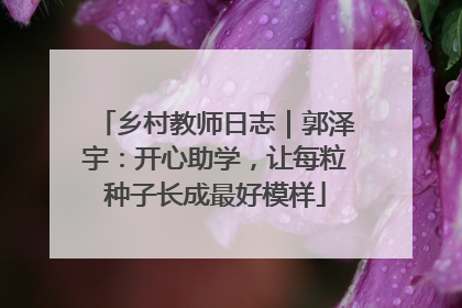 乡村教师日志｜郭泽宇：开心助学，让每粒种子长成最好模样
