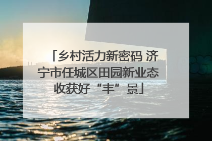 乡村活力新密码 济宁市任城区田园新业态收获好“丰”景