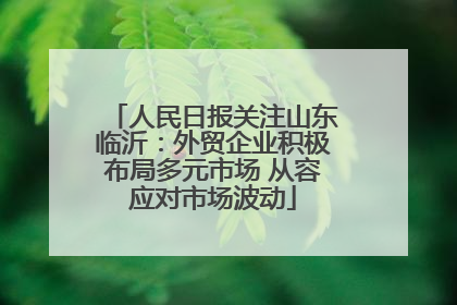 人民日报关注山东临沂：外贸企业积极布局多元市场 从容应对市场波动