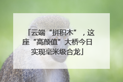 云端“拼积木”，这座“高颜值”大桥今日实现毫米级合龙