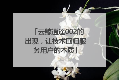 云鲸逍遥002的出现，让技术回归服务用户的本质