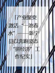 产业聚变 激活“一池春水”——新宁县以奔跑姿态“拼经济”工作纪实