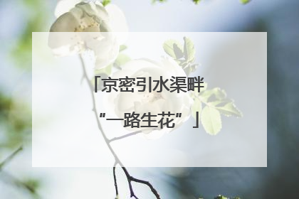 京密引水渠畔“一路生花”