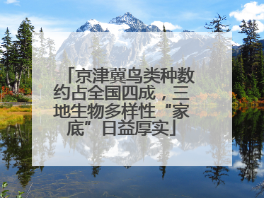 京津冀鸟类种数约占全国四成，三地生物多样性“家底”日益厚实