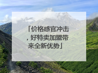 价格感官冲击，好特卖加盟带来全新优势