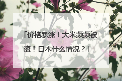 价格暴涨！大米频频被盗！日本什么情况？