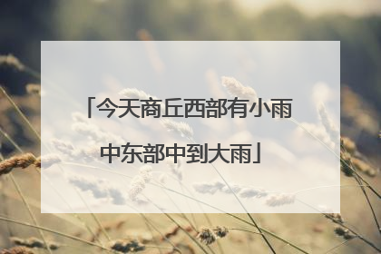 今天商丘西部有小雨 中东部中到大雨