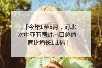 今年1至5月，河北对中亚五国进出口总值同比增长1.1倍