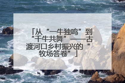 从“一牛独鸣”到“千牛共舞”——古渡河口乡村振兴的“牧场答卷”