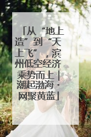 从“地上造”到“天上飞”，滨州低空经济乘势而上｜潮起渤海・网聚黄蓝