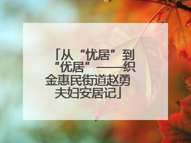 从“忧居”到“优居”——织金惠民街道赵勇夫妇安居记