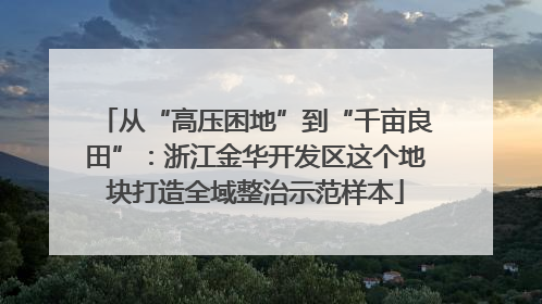 从“高压困地”到“千亩良田”：浙江金华开发区这个地块打造全域整治示范样本