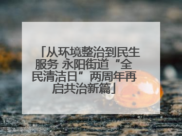 从环境整治到民生服务 永阳街道“全民清洁日”两周年再启共治新篇
