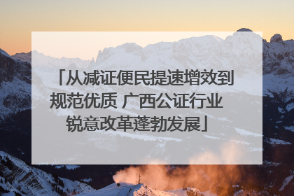 从减证便民提速增效到规范优质 广西公证行业锐意改革蓬勃发展