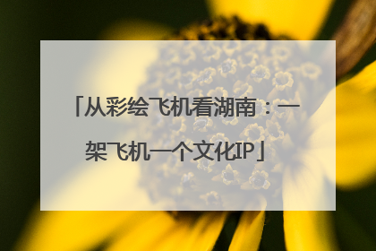从彩绘飞机看湖南：一架飞机一个文化IP